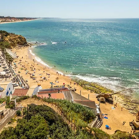 Turisticos Monte Da Vinha Ii 3*